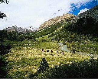 像素沙盒《方块方舟》中秋版本上线，扮成嫦娥砍桂花树