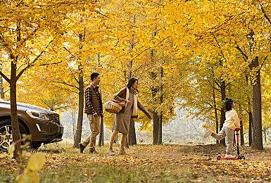 N卡《战地2042》驱动更新上线 提升并不明显